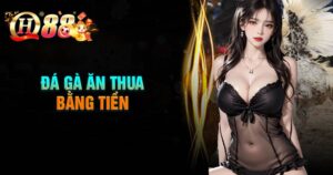 Ưu điểm khi chơi đá gà ăn thua bằng tiền tại nhà cái QH88